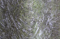 Russells Water fibreglass roof work